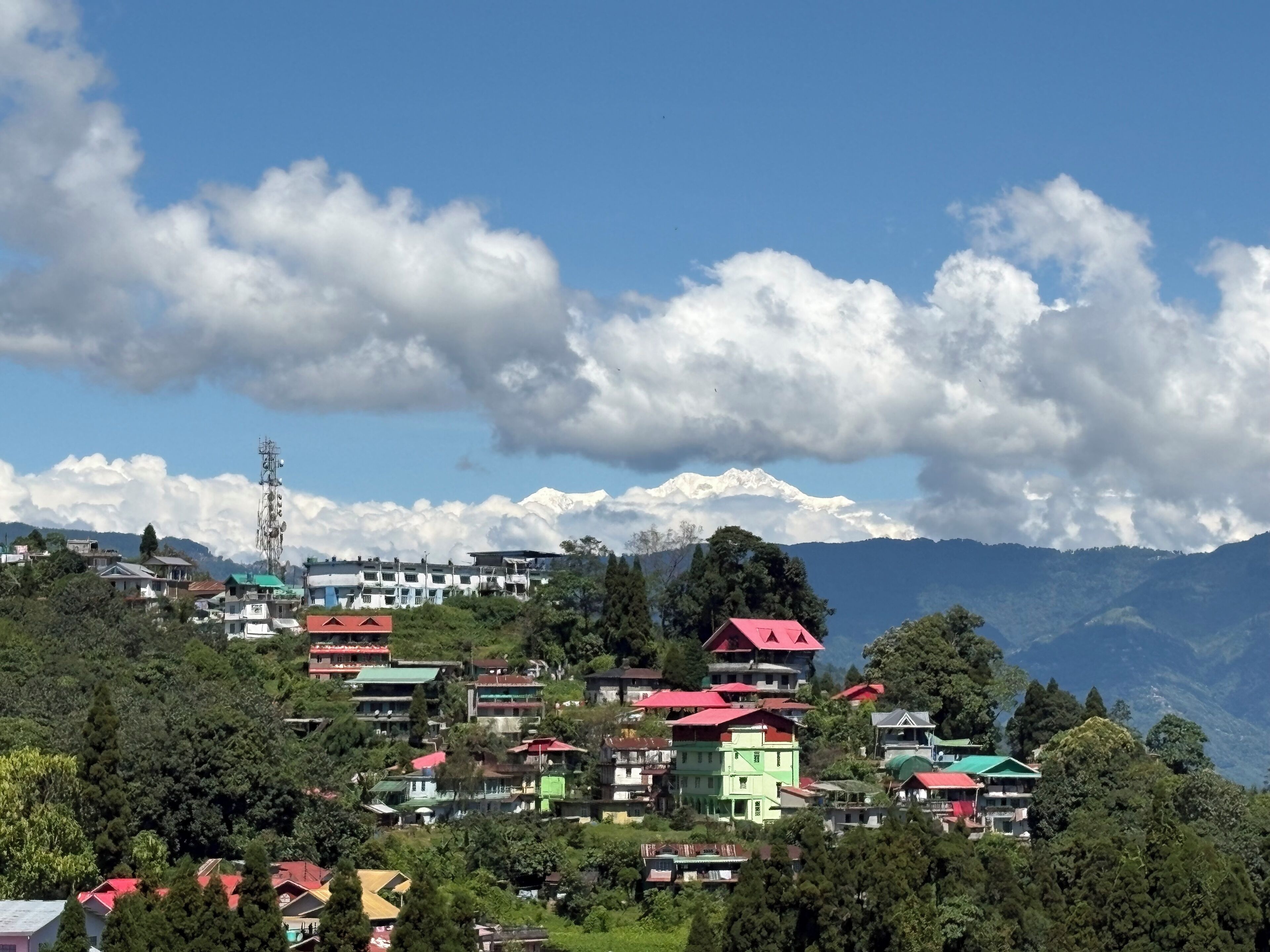 واجهة المنشأة