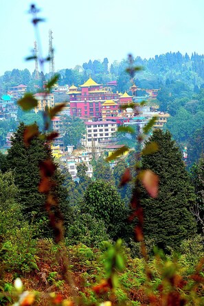 City view from property