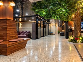 Vestíbulo de hotel con mostrador de recepción, zona de estar y un árbol grande.