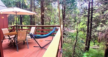 1940s Storybook Knotty Pine Cabin in Crestline, Absolute Privacy