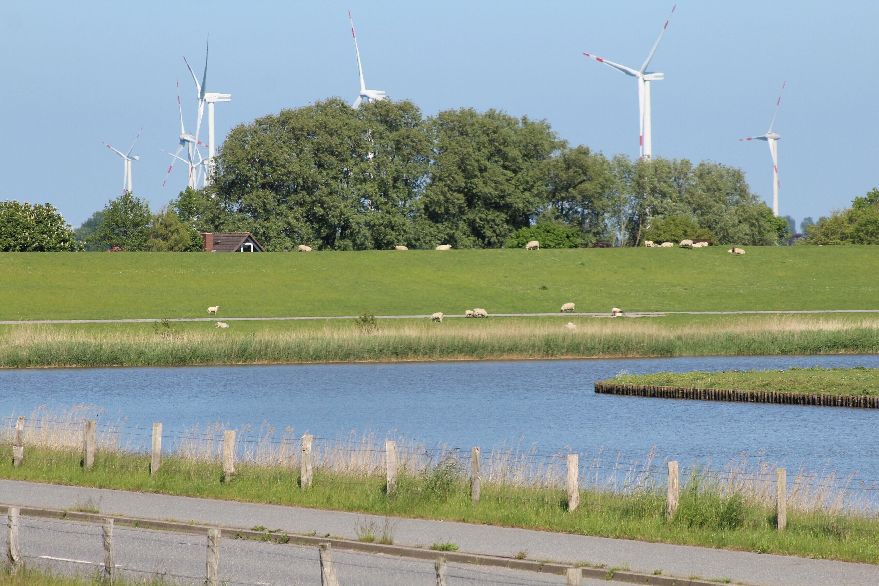 Ländliche Landschaft mit Windrädern, einem Gewässer und weidenden Schafen.