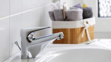 Ducha, secador de pelo, toallas