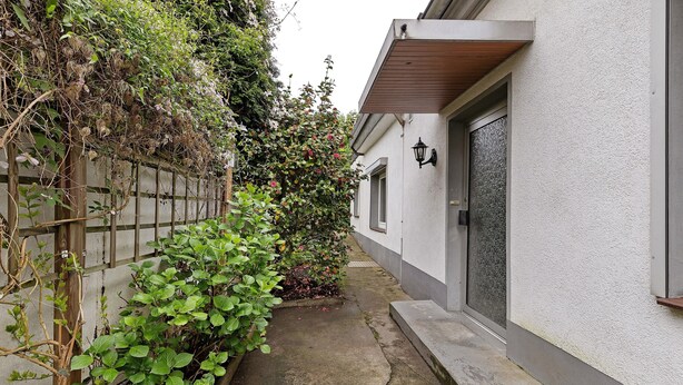 A narrow concrete pathway flanked by a wooden fence and dense green foliage.