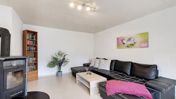 TV, lareira, DVD player