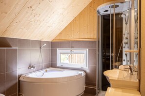 Shower, hair dryer - Chalet with private sauna (Murau)
