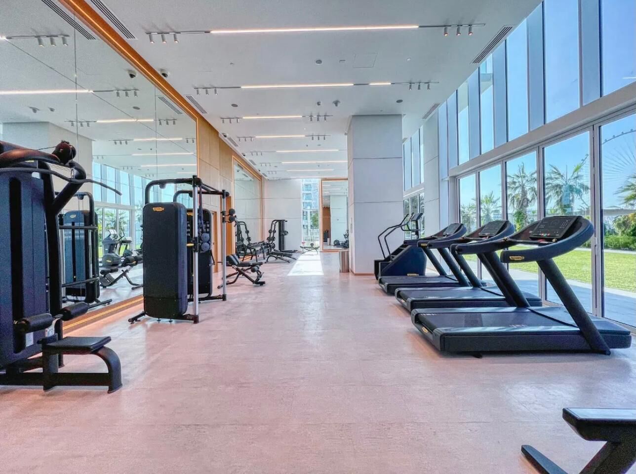 Gym