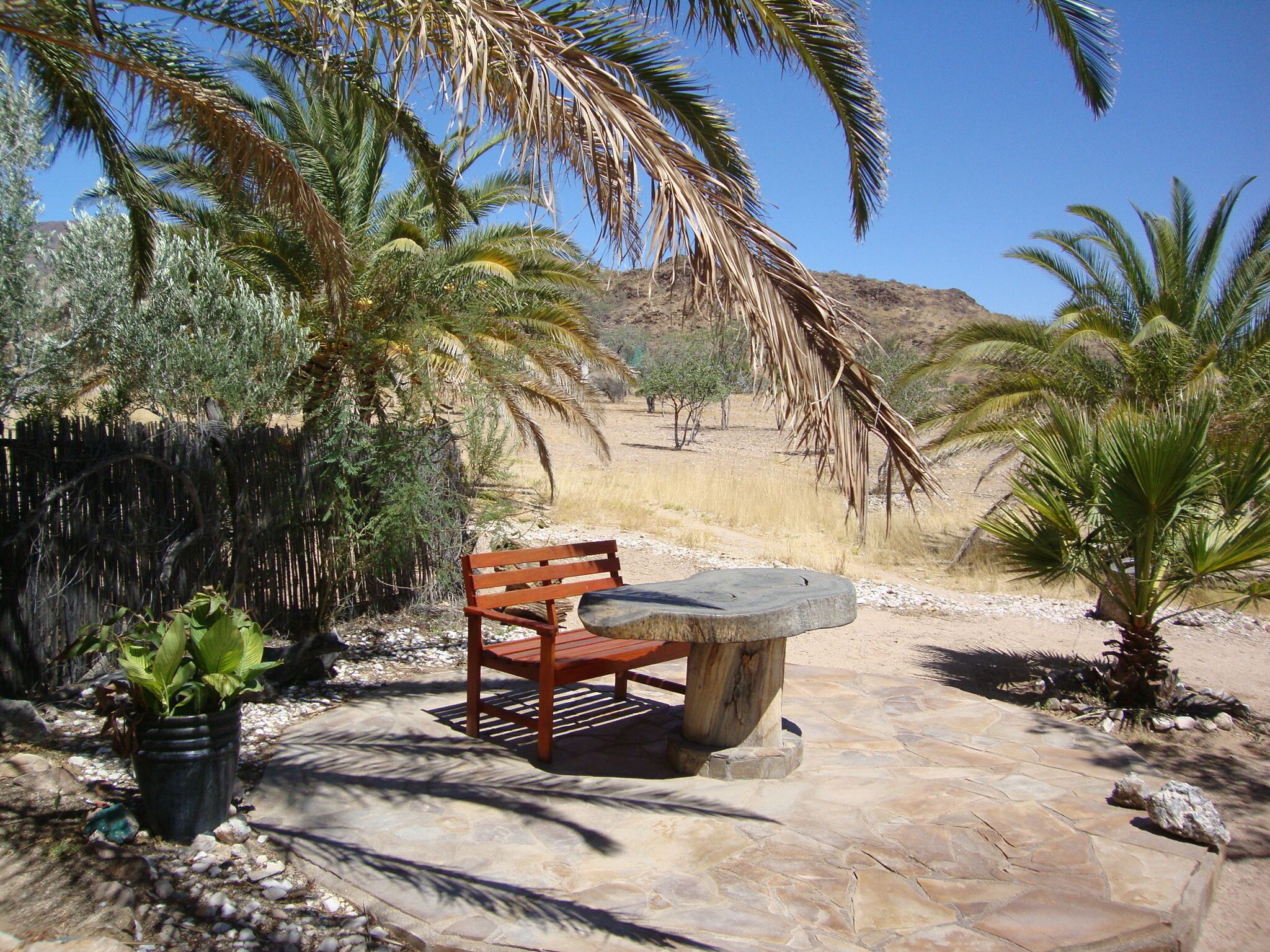 Una panchina con un tavolo in pietra, circondata da palme e un paesaggio roccioso.