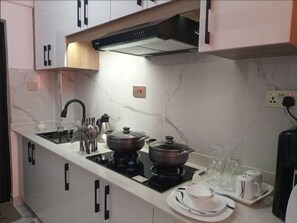Classic Apartment | Private kitchen | Microwave, oven, cleaning supplies, freezer