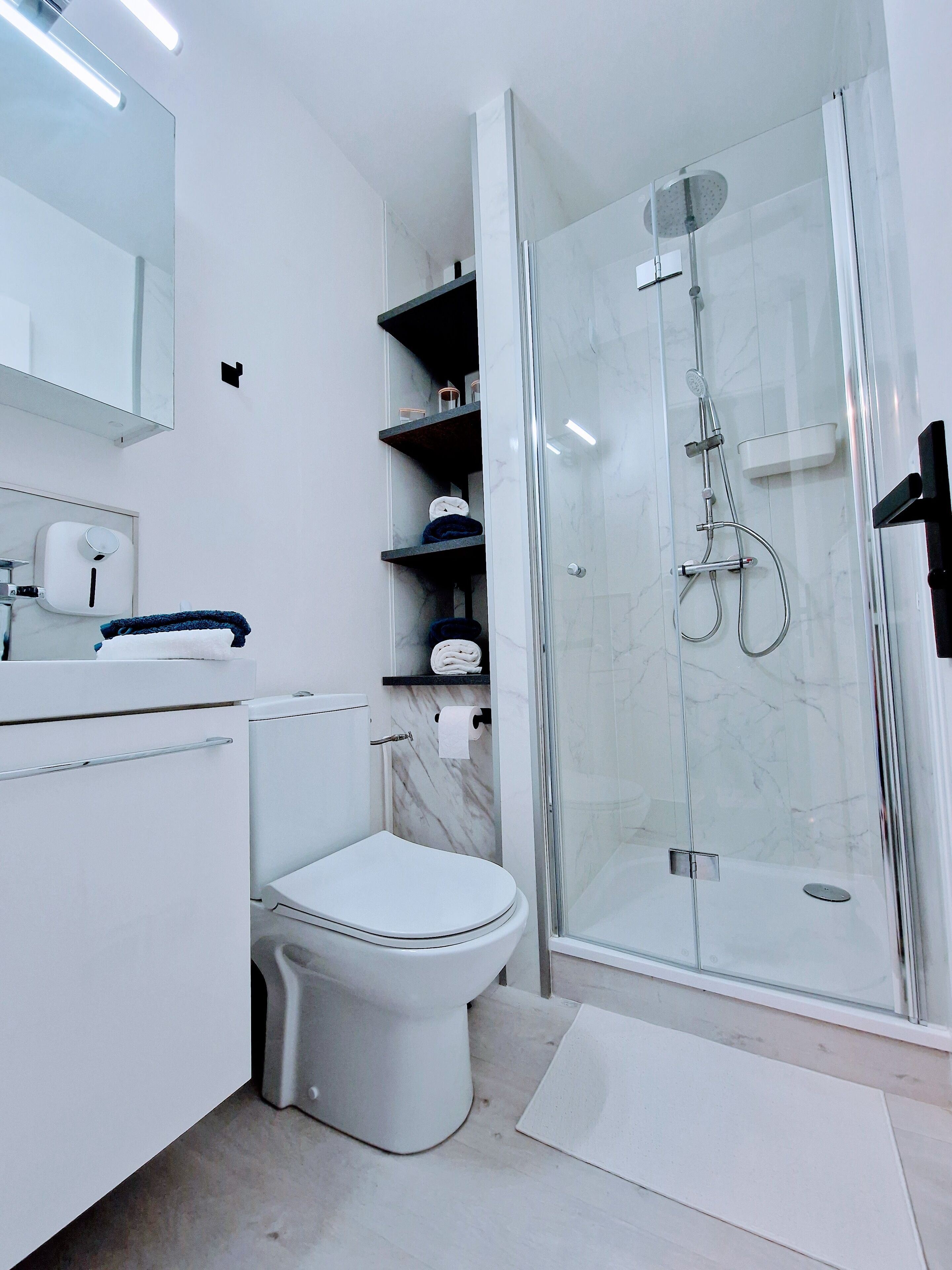 Regadera, secadora de cabello, toallas, jabón 