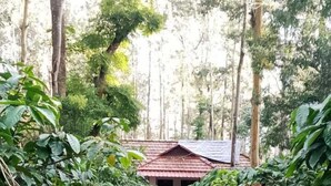 A pathway leading to a building with a red roof, surrounded by lush greenery. - Humble Nest Coorg (Somvarpet)