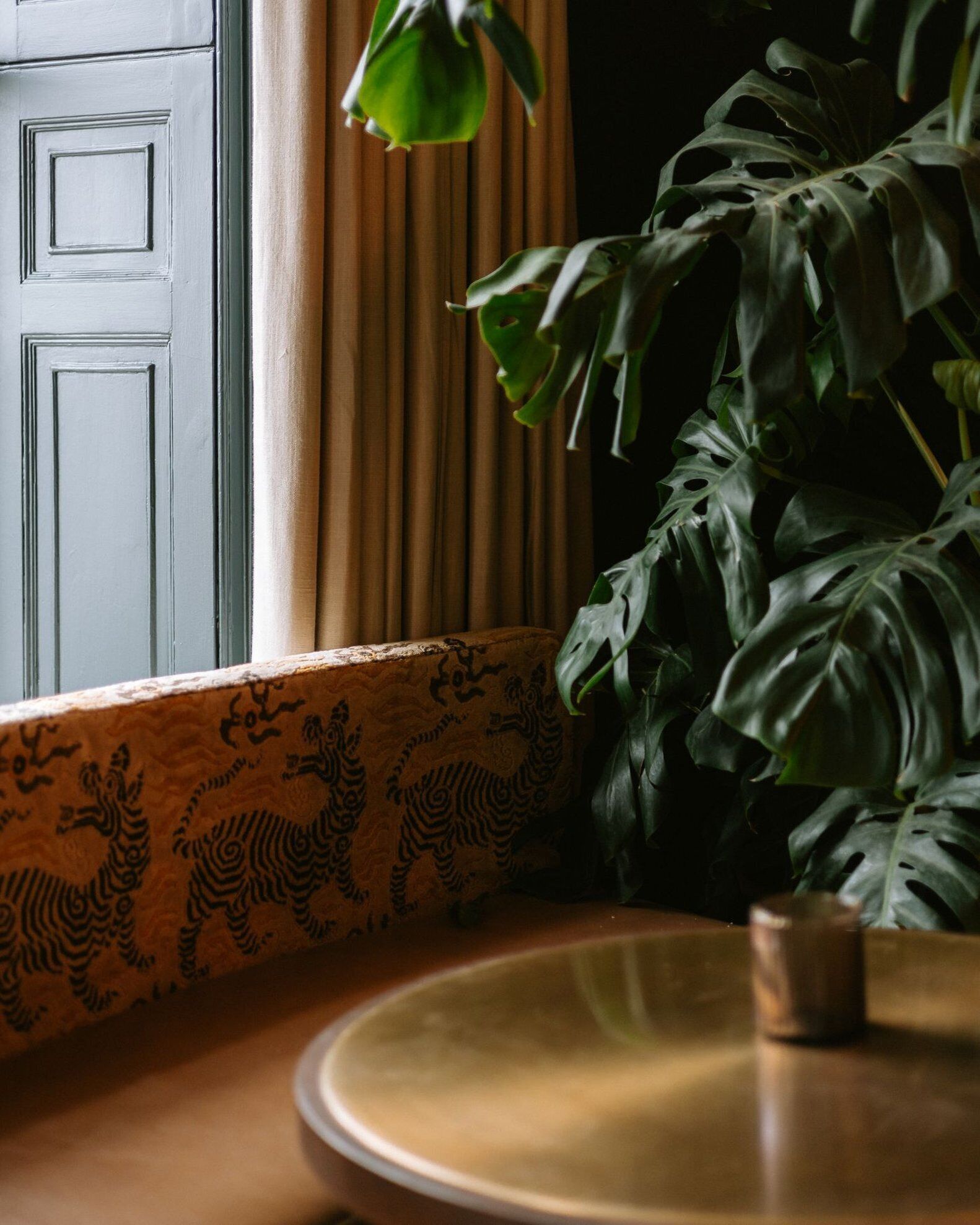 Une pièce avec une fenêtre, un coussin à motifs, une grande plante et une table ronde.