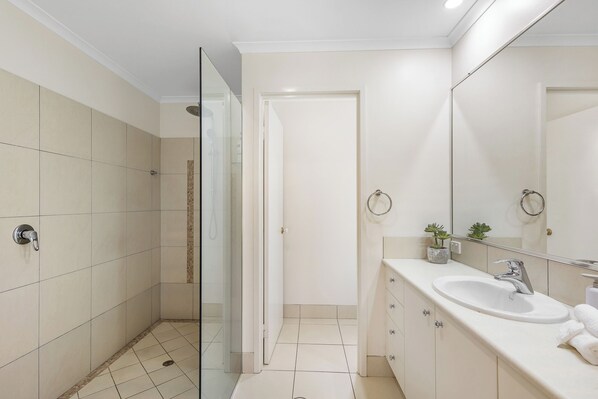 Une salle de bain moderne avec une douche à parois de verre, un lavabo blanc avec un miroir et une petite plante en pot posée sur le meuble-lavabo.