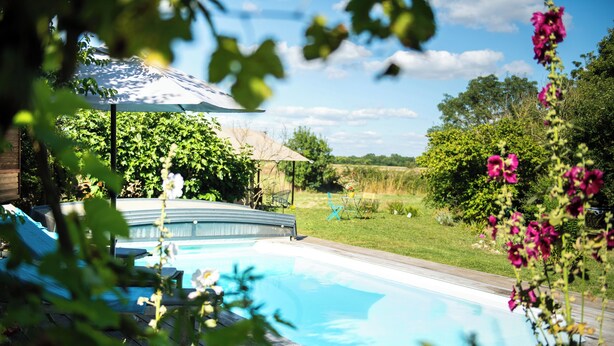 A swimming pool with a wooden deck, surrounded by lush greenery and a clear blue sky.