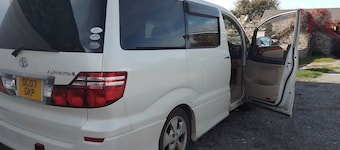 Dolphins Backpackers