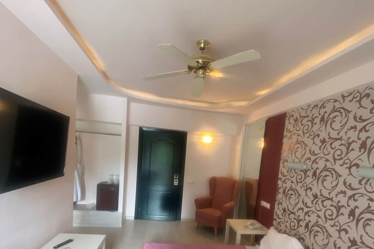 A hotel room with a bed, a television, a ceiling fan, a chair, a small table, and a door.