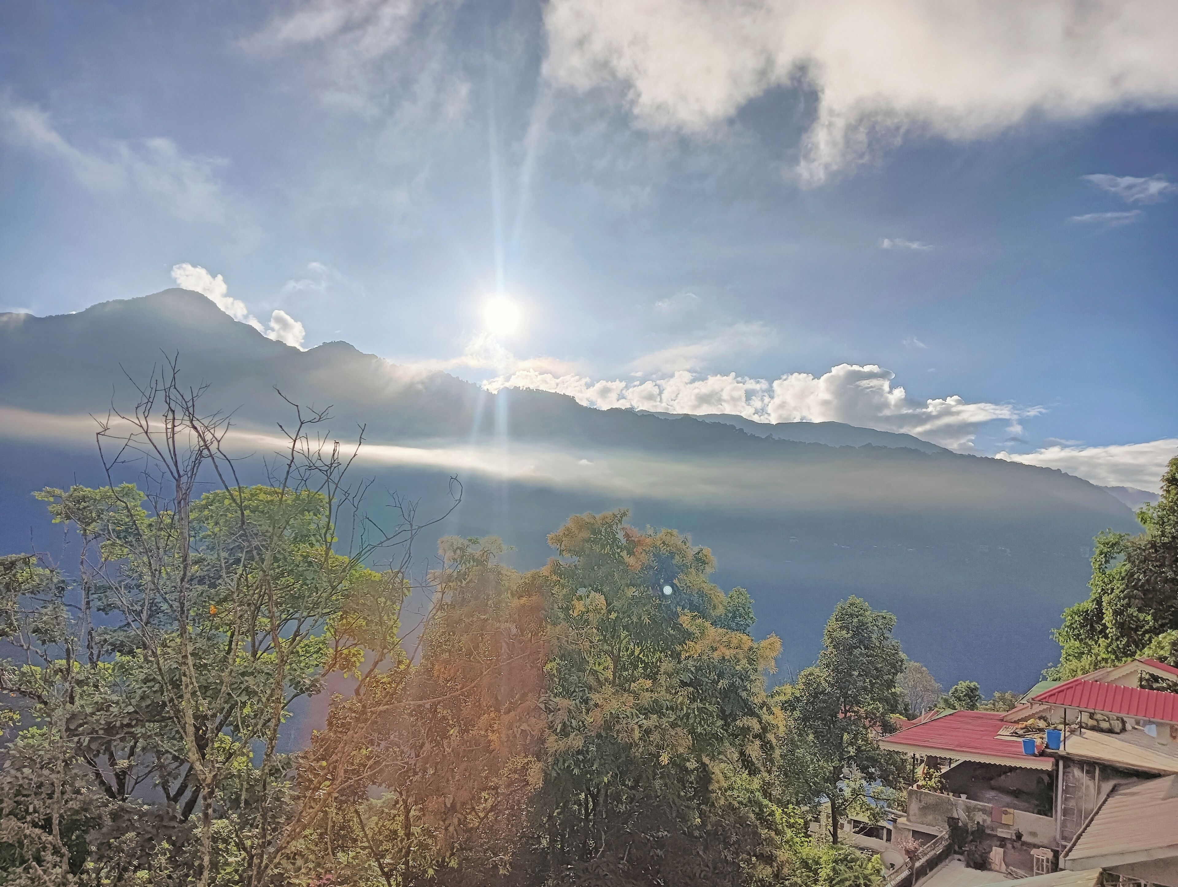 Paisaje de montaña con cielo despejado, luz solar y árboles en primer plano.