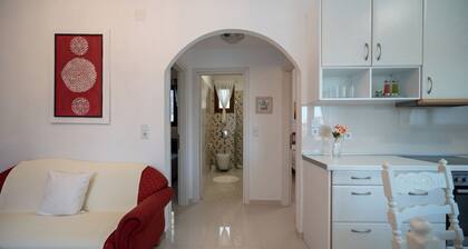 Anna Maria Family House#1