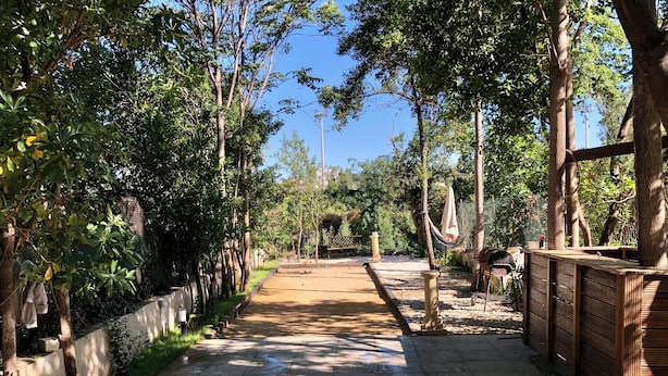 A paved pathway lined with trees and a hammock, leading to a distant seating area.