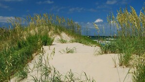 Un sendero arenoso que lleva a una playa con pastos altos y un cielo azul despejado.