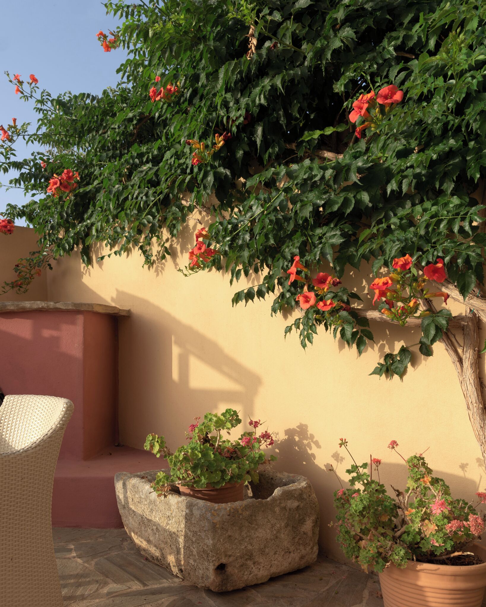 Eine Terrasse mit Korbstuhl, einem Steintopf und einem Blumentopf mit rosa Blüten vor einer Wand.