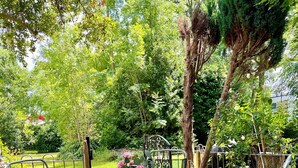 A patio with a round table and four chairs, surrounded by greenery and trees.