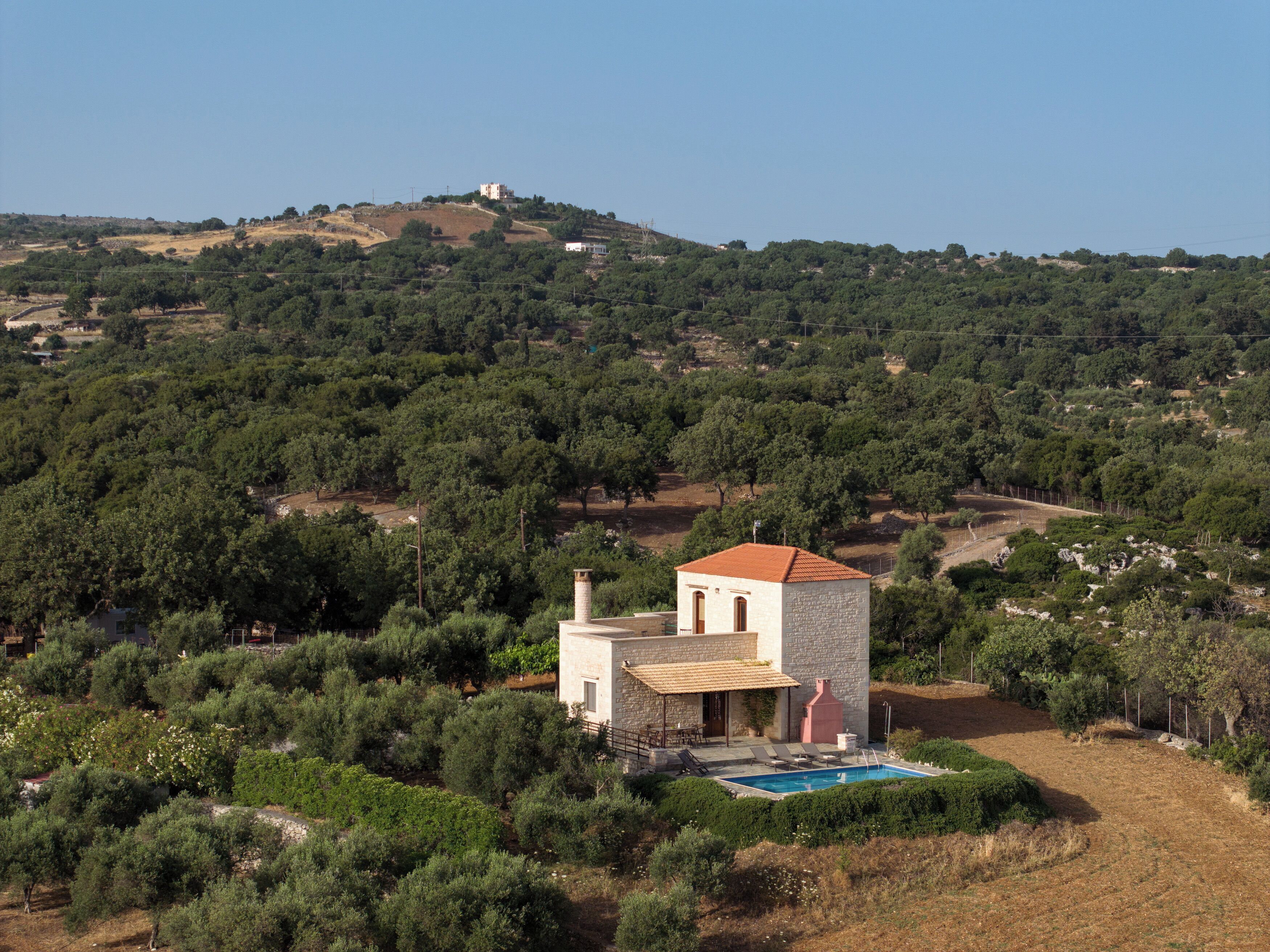 A villa with a swimming pool surrounded by olive groves and a hill in the background.