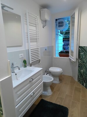 Shower, hair dryer, bidet, towels