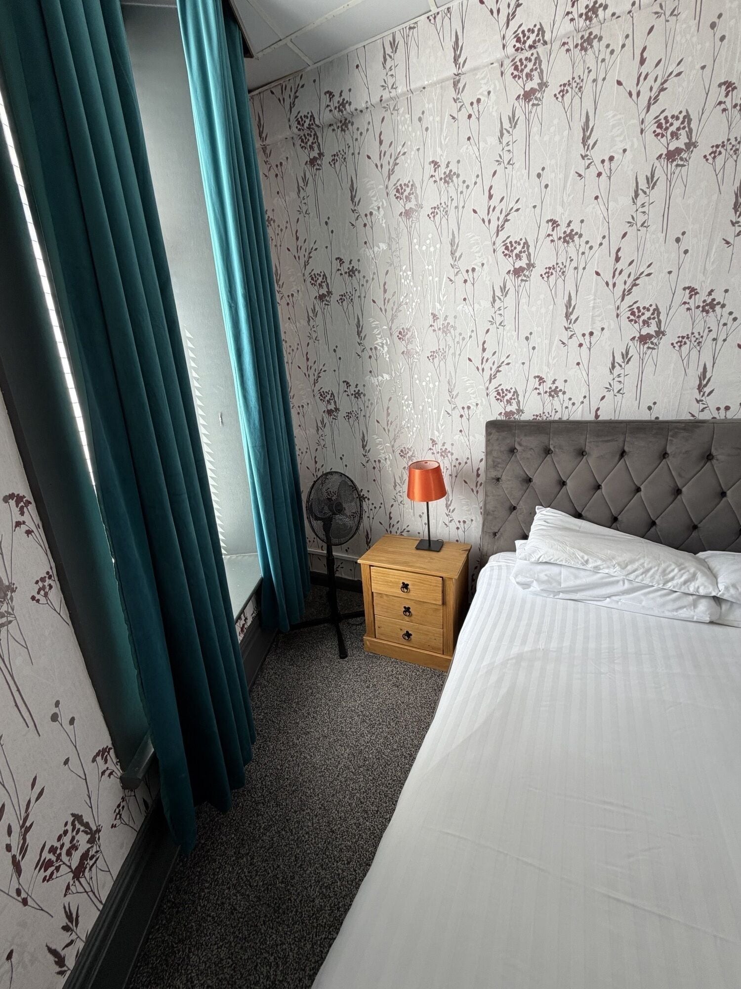A hotel room with a bed, a nightstand, a lamp, a fan, and curtains.