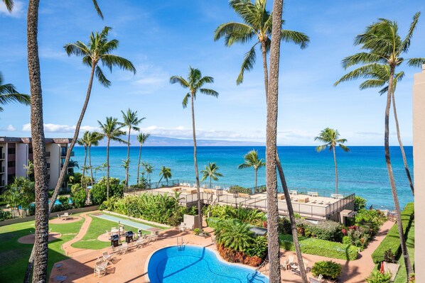 Pool - Serene 1bd ocean view condo, moments from shore (Lahaina)