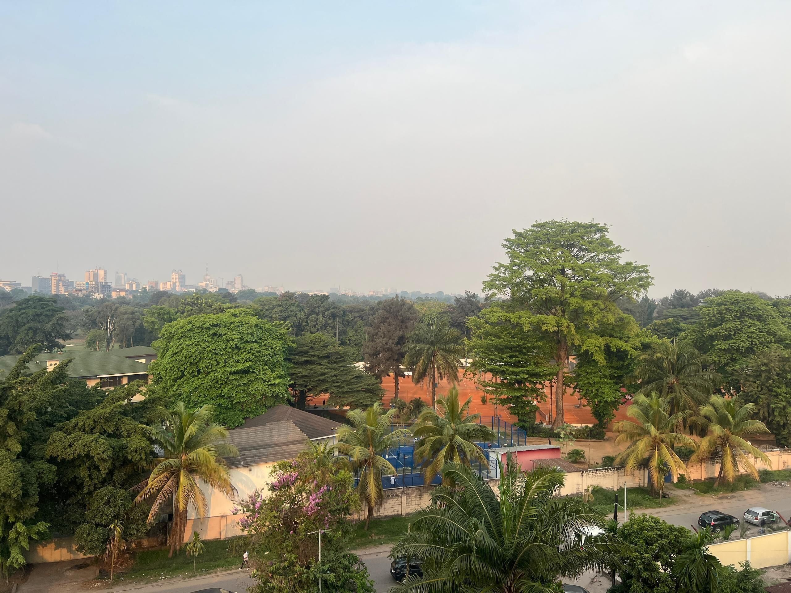 A residential area with dense greenery, including palm trees and various shrubs. There are houses with visible roofs and walls, and a clear view of the sky.