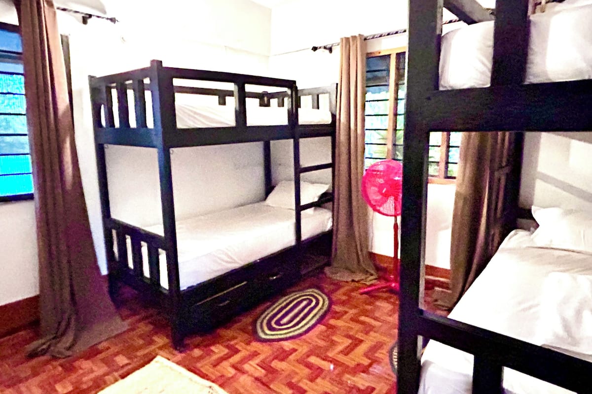 A room with a bunk bed, a small rug, and curtains.