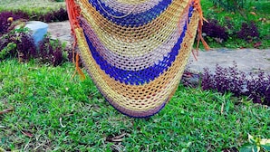 A hammock suspended between wooden beams in a lush garden with tropical plants and a thatched-roof structure in the background. - The Tropinest  (Nungwi)