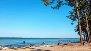 Une plage où des gens se prélassent au soleil et se baignent, entourée d’arbres et surplombée d’un ciel bleu clair.