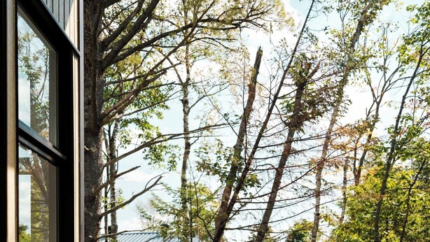 A person sitting on a cushioned bench on a wooden deck with a glass balustrade, overlooking a forested area.