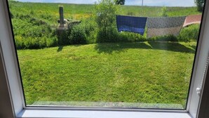Blick durch ein Fenster auf eine grüne Außenanlage mit einer Wäscheleine und einer Steinstruktur.