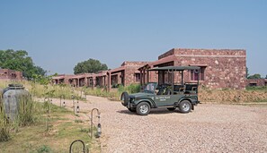 Safari