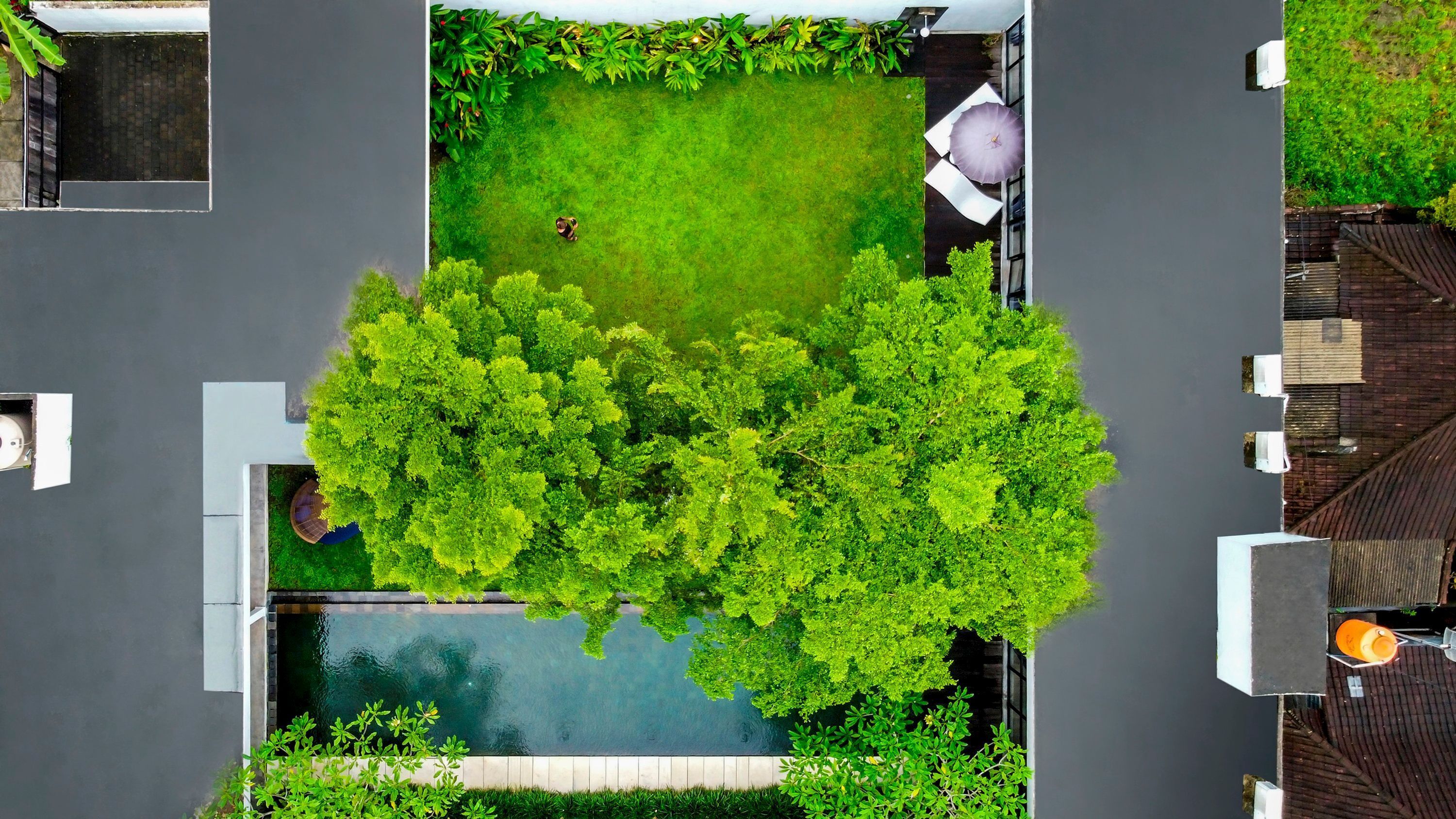 An aerial view of a rooftop garden with a swimming pool, surrounded by lush greenery and a small lawn area.