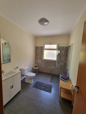 Douche, séchoir à cheveux, serviettes fournies, papier de toilette