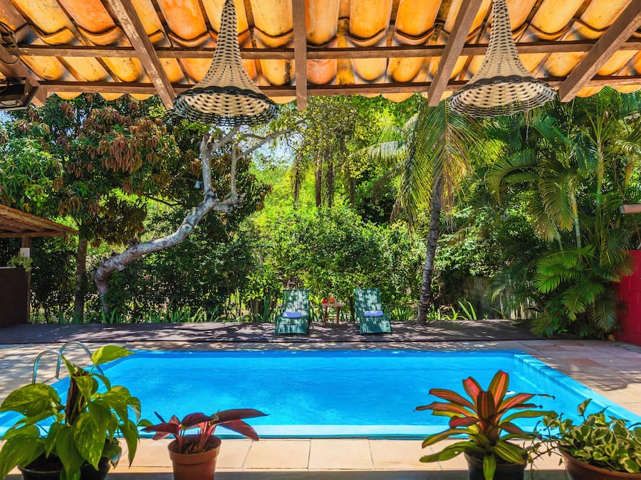 Una piscina amb gandules i plantes en testos.
