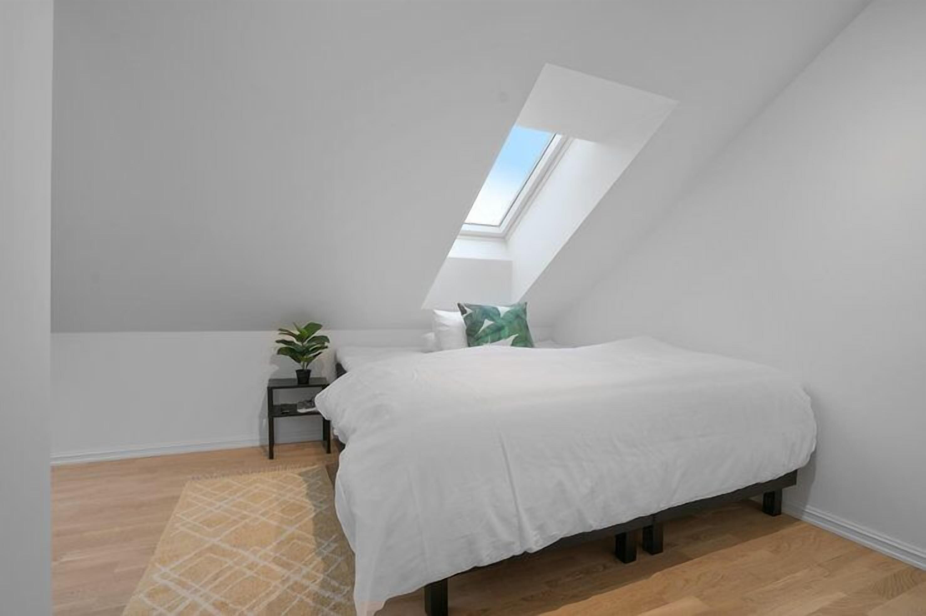 A bedroom with a skylight, a bed, a nightstand, a plant, and a patterned rug.