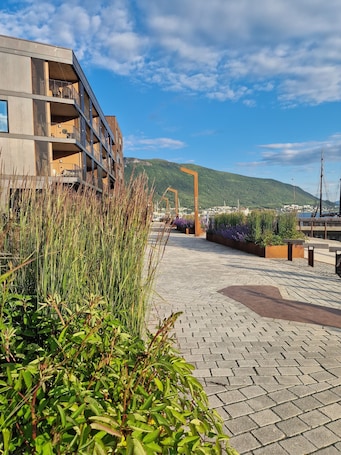 50-inch Smart TV with digital channels, streaming services