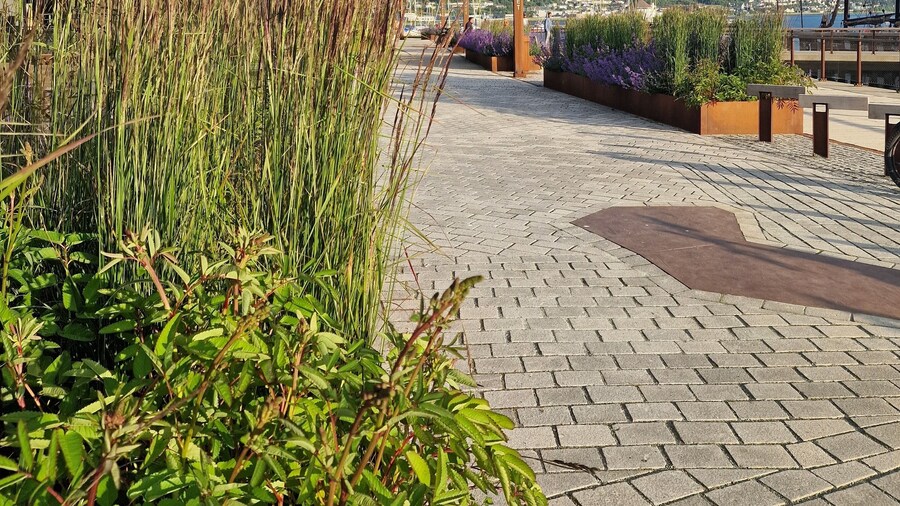 TotalApartments - Vervet Studio Apartments