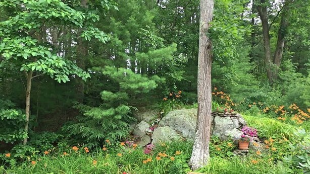 A garden with a wooden deck, surrounded by various plants and flowers. - Ogunquit -2 Bedroom Family Condo with POOL 2 week stay (Ogunquit)