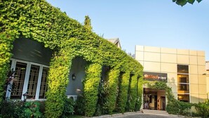 Un bâtiment dont la façade est recouverte de lierre et sur lequel on peut lire une enseigne bien visible indiquant « BackPoint ».