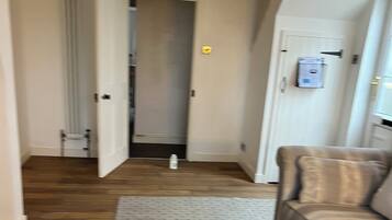 Smart TV, fireplace, DVD player, books