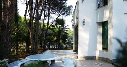 The Beachfront Villa