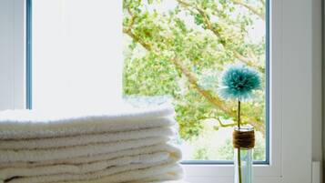 Shower, hair dryer, towels, soap