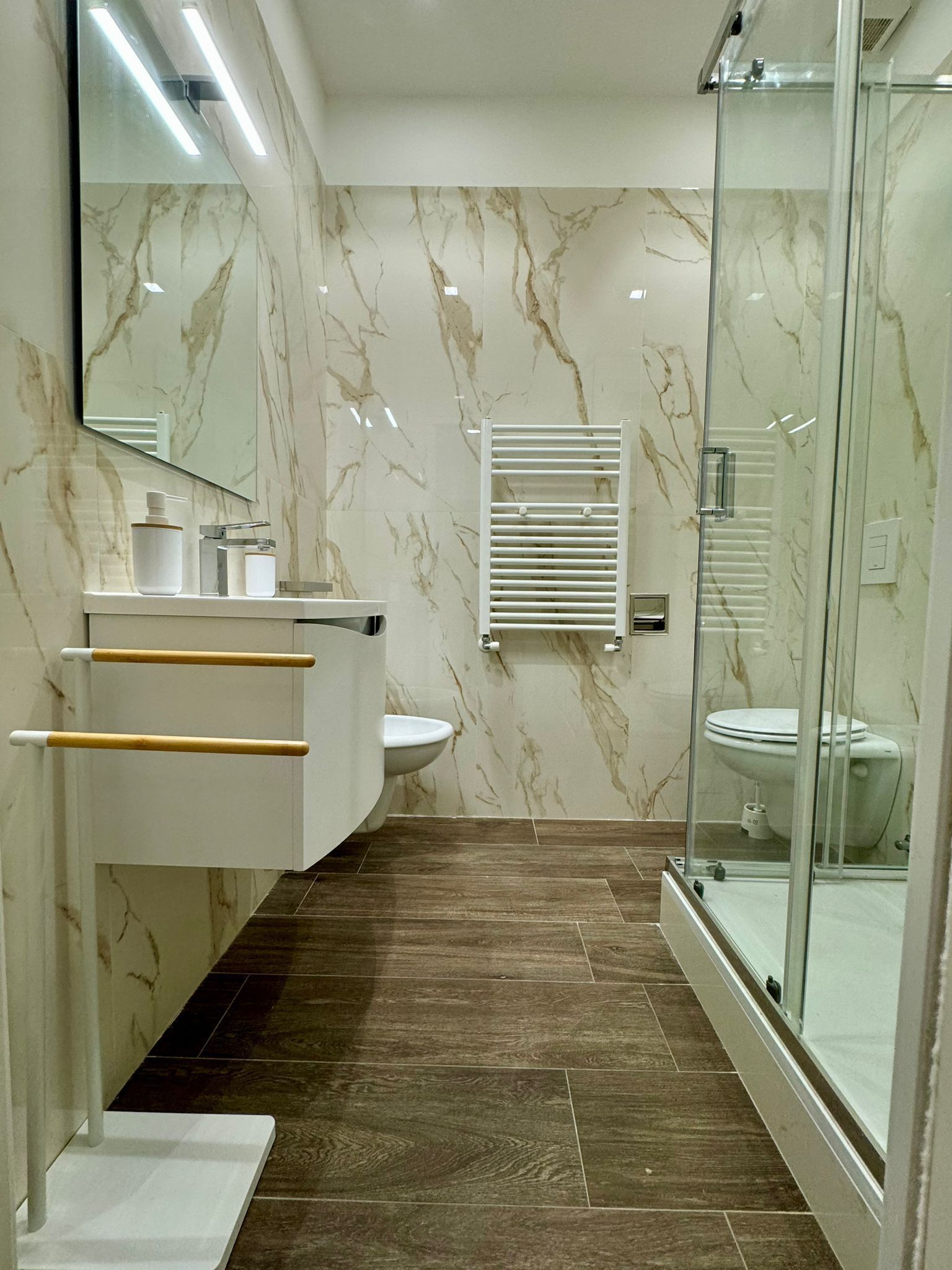Shower, hair dryer, bidet, towels
