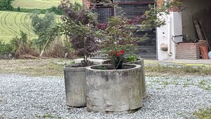A gravel area with two concrete planters containing plants and red flowers.
