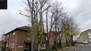 Une rue résidentielle bordée de maisons en briques, d’arbres sans feuilles et d’une voiture garée.